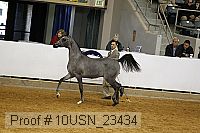 10usn_23434 thumbnail