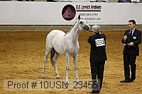 10usn_23455 thumbnail