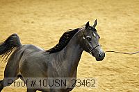 10usn_23462 thumbnail