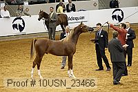 10usn_23466 thumbnail