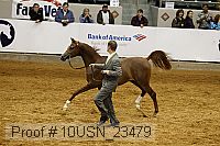 10usn_23479 thumbnail