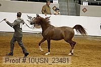 10usn_23481 thumbnail