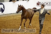 10usn_23482 thumbnail
