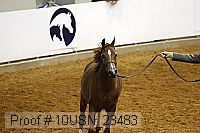10usn_23483 thumbnail