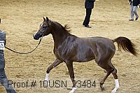10usn_23484 thumbnail
