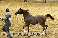 10usn_23485 thumbnail