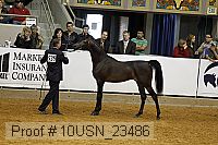 10usn_23486 thumbnail