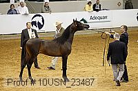 10usn_23487 thumbnail