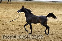 10usn_23492 thumbnail