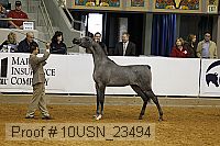 10usn_23494 thumbnail