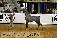 10usn_23495 thumbnail