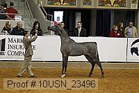 10usn_23496 thumbnail