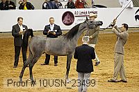 10usn_23499 thumbnail