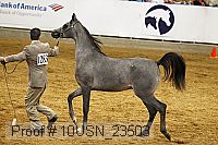 10usn_23503 thumbnail
