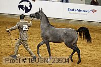 10usn_23504 thumbnail