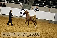 10usn_23506 thumbnail