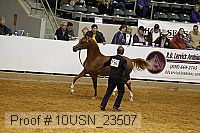 10usn_23507 thumbnail
