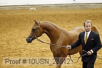 10usn_23512 thumbnail