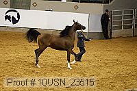 10usn_23515 thumbnail