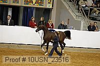 10usn_23516 thumbnail