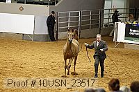 10usn_23517 thumbnail