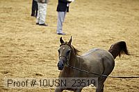 10usn_23519 thumbnail