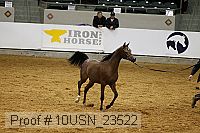 10usn_23522 thumbnail