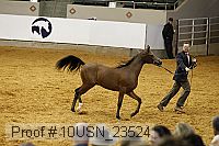 10usn_23524 thumbnail