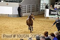 10usn_23525 thumbnail
