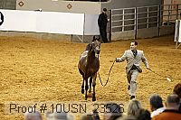 10usn_23526 thumbnail
