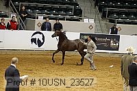 10usn_23527 thumbnail