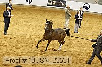 10usn_23531 thumbnail