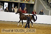 10usn_23535 thumbnail