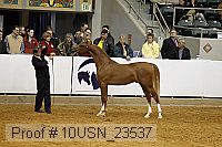 10usn_23537 thumbnail