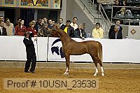 10usn_23538 thumbnail