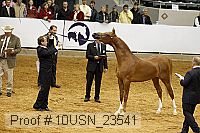 10usn_23541 thumbnail