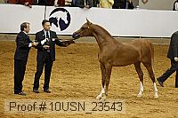10usn_23543 thumbnail