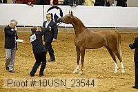 10usn_23544 thumbnail
