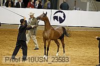 10usn_23583 thumbnail