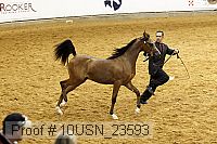 10usn_23593 thumbnail