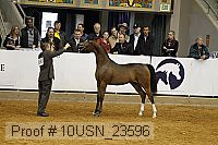 10usn_23596 thumbnail