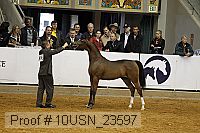 10usn_23597 thumbnail