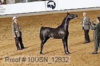 10usn_12832 thumbnail