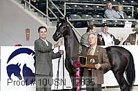 10usn_12835 thumbnail