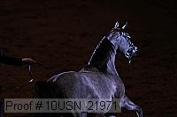 10usn_21971 thumbnail