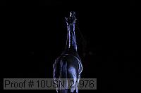 10usn_21976 thumbnail