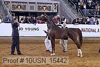 10usn_15442 thumbnail