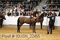 10usn_22455 thumbnail