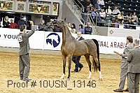 10usn_13146 thumbnail