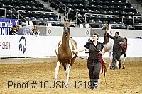 10usn_13195 thumbnail
